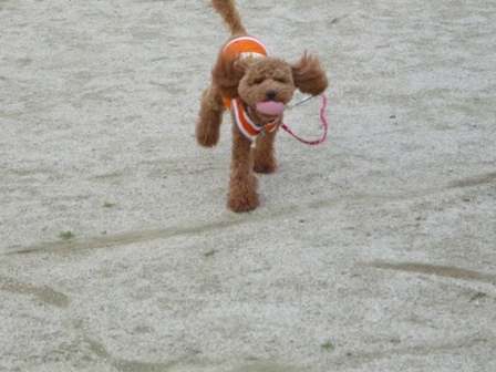 久々の・・ 008.jpg