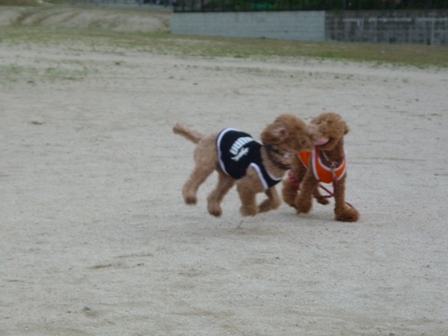 久々の・・ 004.jpg