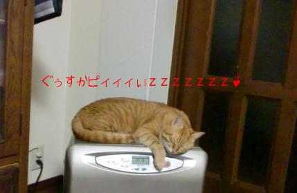 ファンヒーターで寝ています