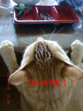 目標発見！