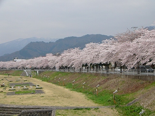 P1130533.jpg