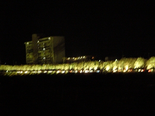 P1130550.jpg