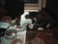 7月21日(木)午後8時30分～9時30分