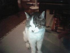 7月22日(金)午後8時～９時３０分