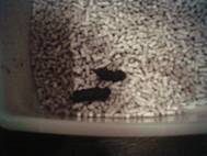 ７月２3日(土)午後8時～9時