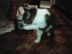 ７月２3日(土)午後8時～9時-