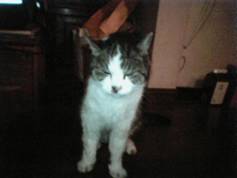 ７月２4日(日)午後8時～9時３０分