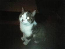 ７月２8日(木)午後８時４５分～９時３０分