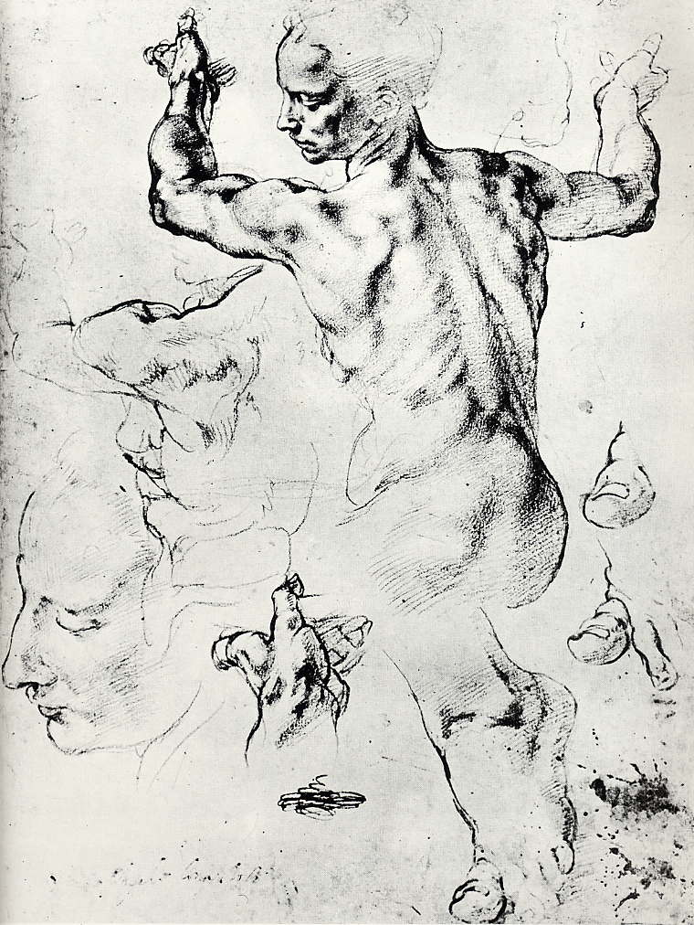 Michelangelo巫女ﾘﾋﾞｱのための習作(1510頃)