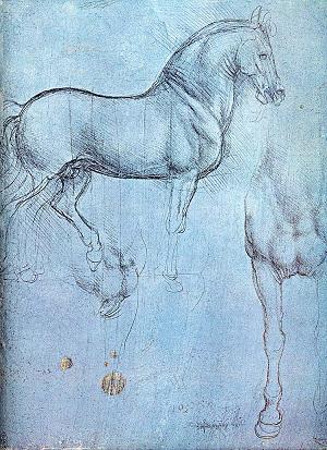 Leonardo馬とその前脚の習作1488