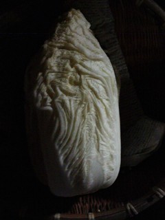 F210202畑の白菜の中味