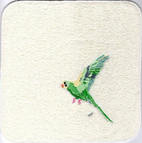 セキセイインコ緑飛翔　アイボリー