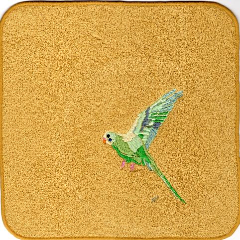 セキセインコ緑飛翔　マスタード