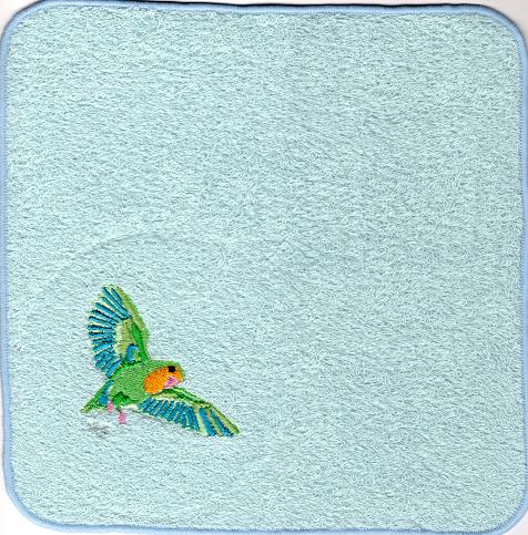 コザクラインコ　飛翔　モスブルー