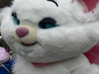 おされきゃっと