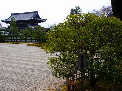 仁和寺右近の橘.jpg