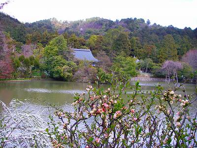 竜安寺１８.jpg