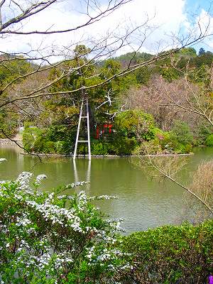 竜安寺２０.jpg