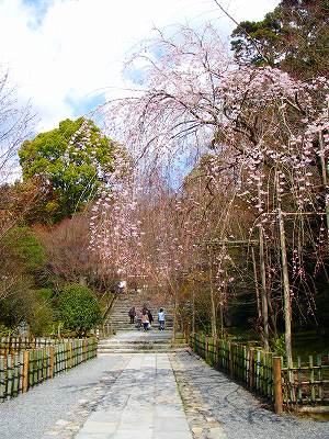 竜安寺５.jpg