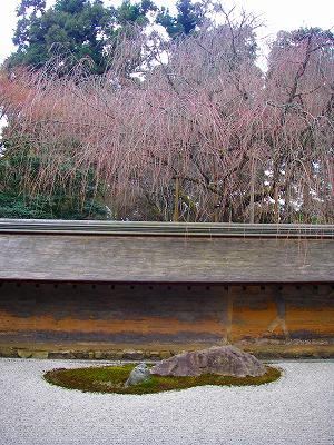 竜安寺１２.jpg