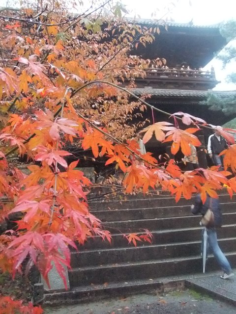 南禅寺03.JPG