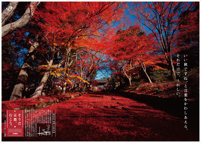 そうだ京都へ.jpg