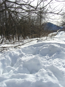 戦場ヶ原の雪