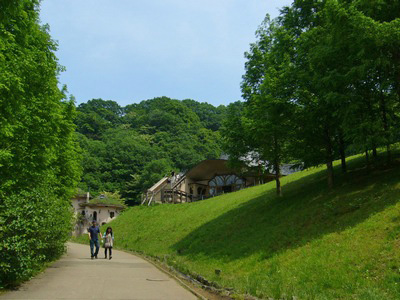 あけぼの子どもの森公園