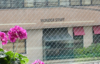 wonder staff
