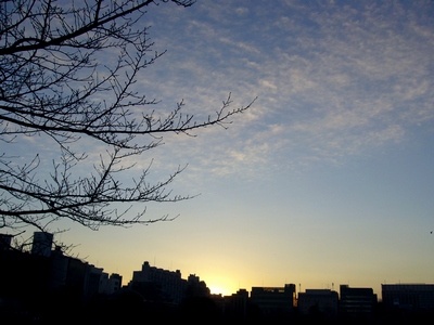 上野の夕陽