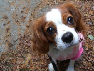 2005-12-11 18:22:10