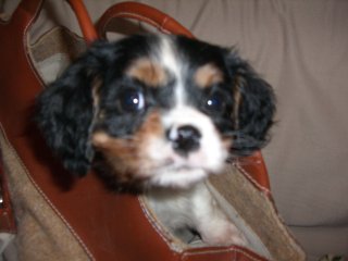 2005-11-19 10:24:41