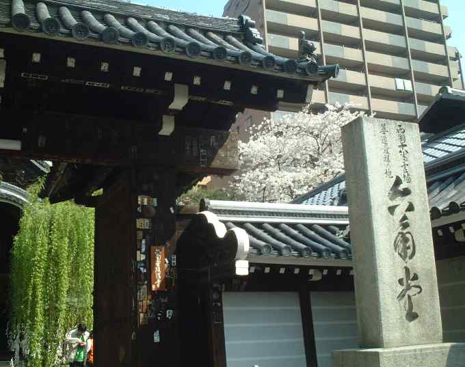 六角堂「御幸桜」1