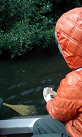 canoes.jpg