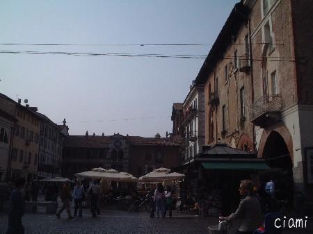 pavia 5