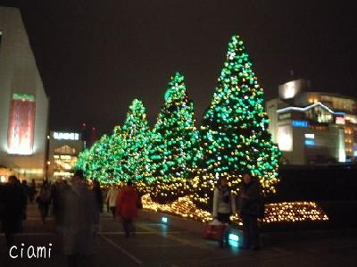 albero di natale 1