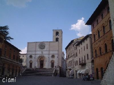 todi 1