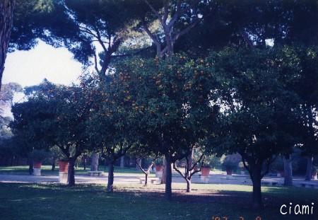 parco savello