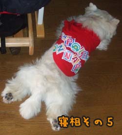 DSCF0305のコピー.jpg
