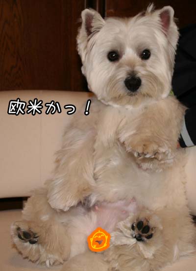 画像 081のコピー.jpg