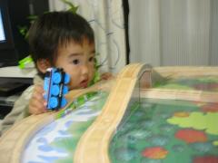 様子伺い中・・。