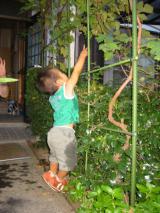 あとすこし！！