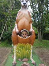 カンガルーohta☆