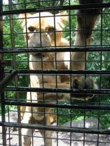 すごい！迫力！！