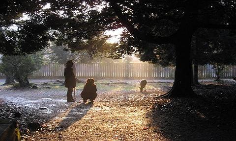 071111～12　ガンバ戦・奈良 016-1.JPG