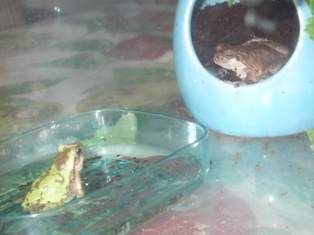 そこって気持ちぃ？