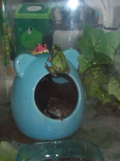 プールからジャンプ！