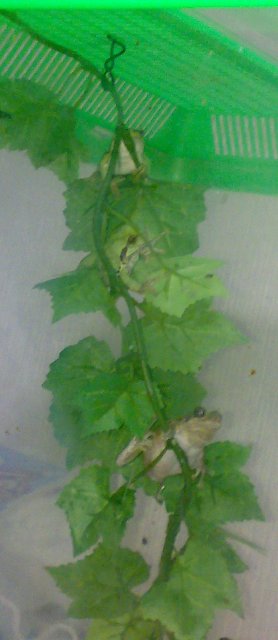 うわ！それってひどくね？差別じゃね？