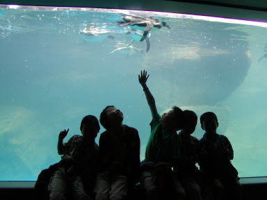 大洗水族館３