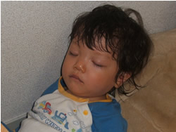 眠るbabyらいおん